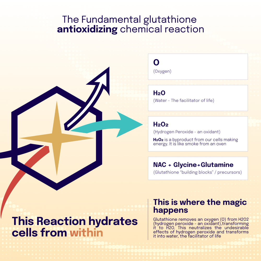 Diagram of glutathione antioxidizing chemical reaction with text and symbols on a beige background